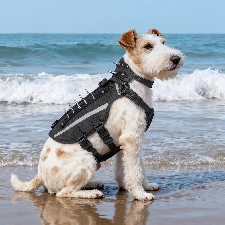 Harnais Tactique Robuste Réfléchissant pour Chien - Entraînement