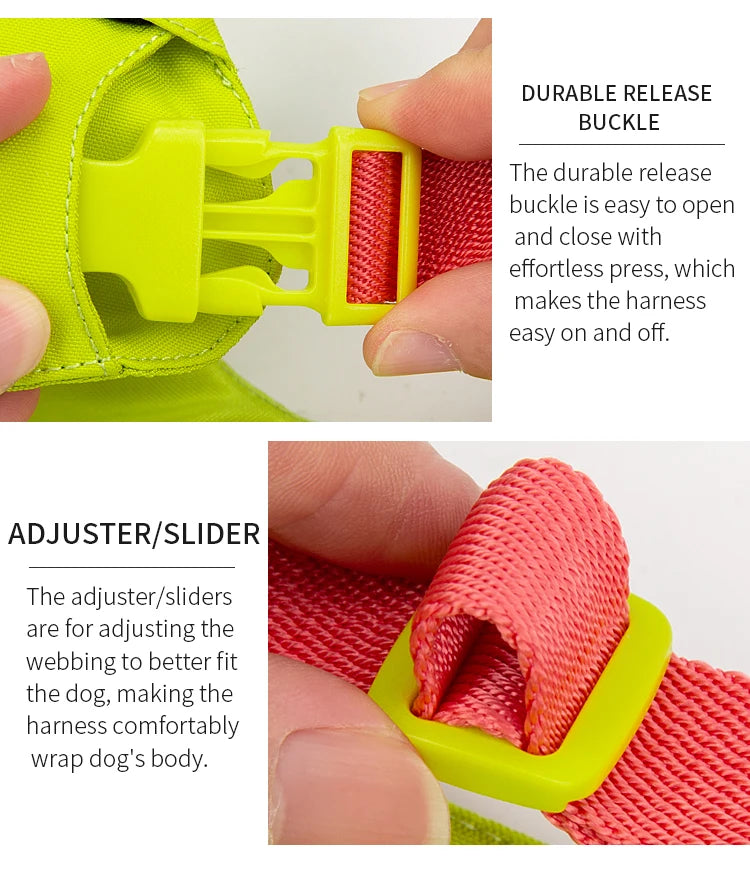 Harnais Sangle Nylon Réfléchissante pour Petit et Moyen Chien