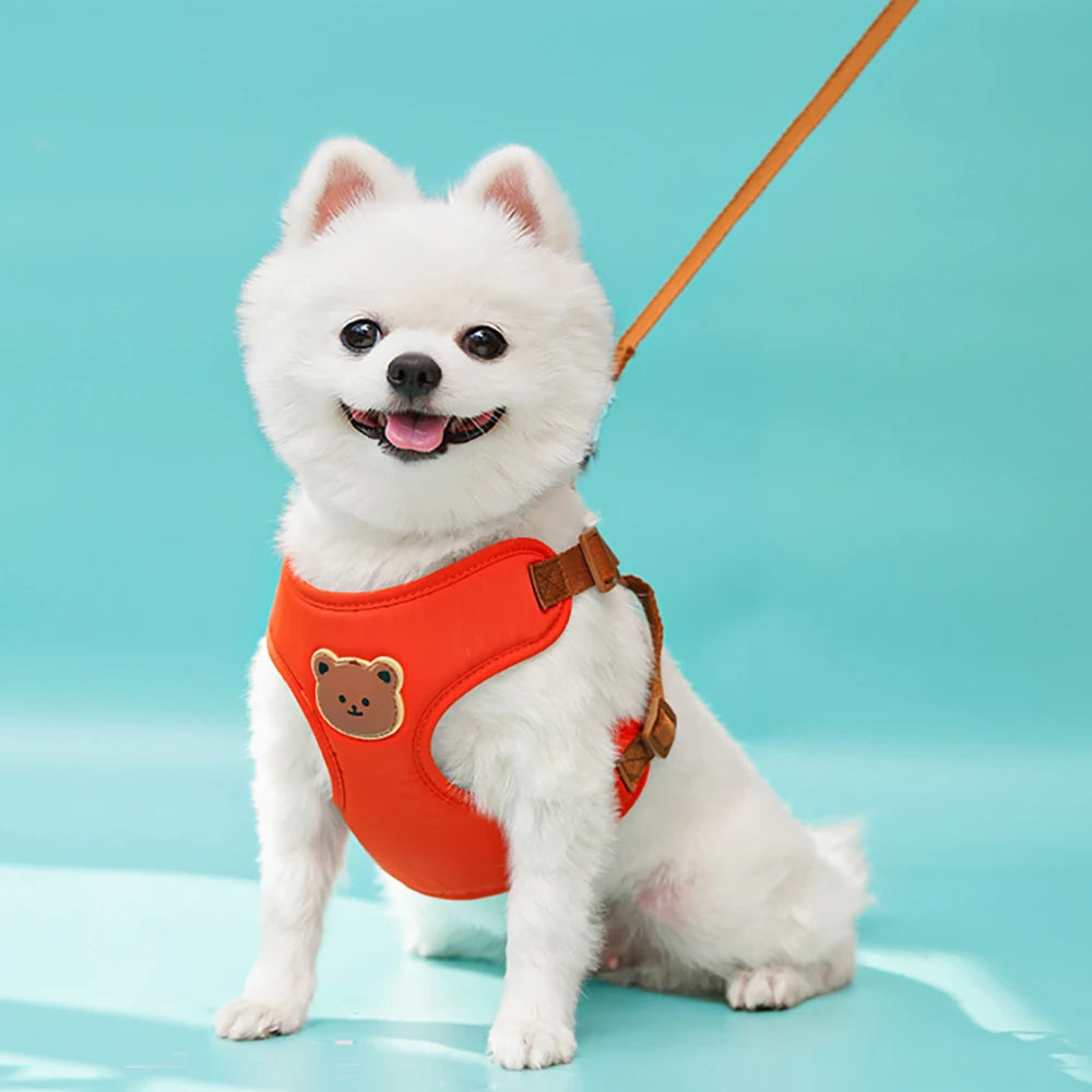 Harnais Anti-Traction Rembourré pour Chien - Confortable, Réfléchissant