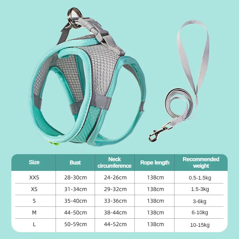 Ensemble Accessoires Réglables pour Chiots et Chats - Bouledogue, Chihuahua