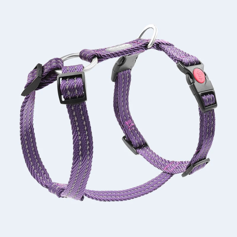 Harnais Anti-Évasion Type H pour Chien - Lavable, Réglable