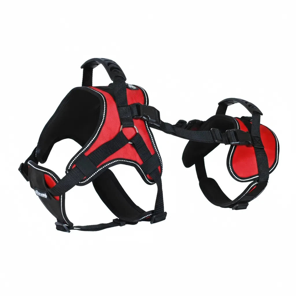 Harnais de Levage avec Sangles pour Pattes Arrière - Marche et Voyage