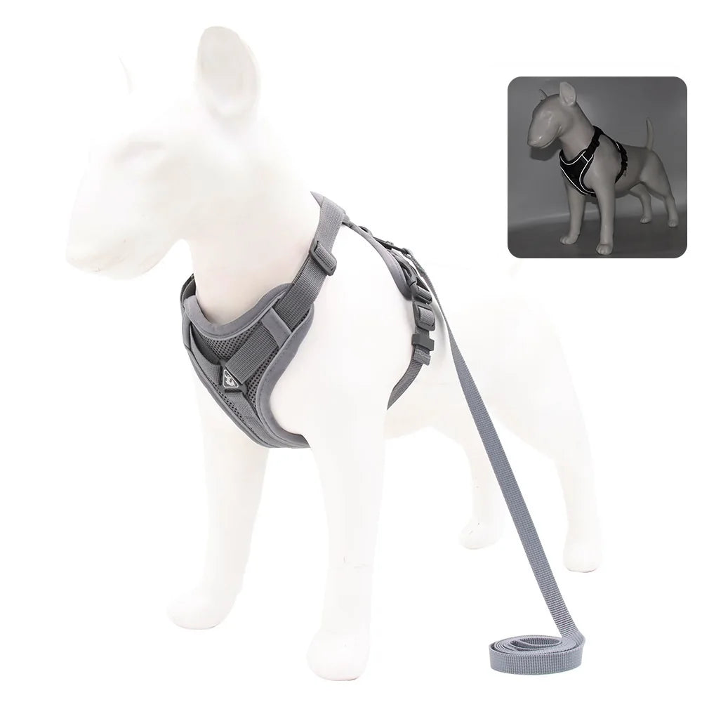 Ensemble Harnais et Laisse pour Petit Chien - Bouledogue, Carlin, Chiot