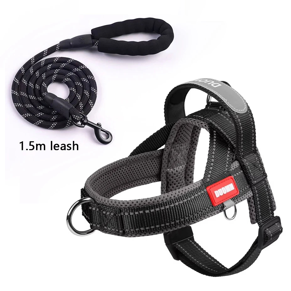 Harnais à la Mode Style Selle pour Chien - Toutes Tailles