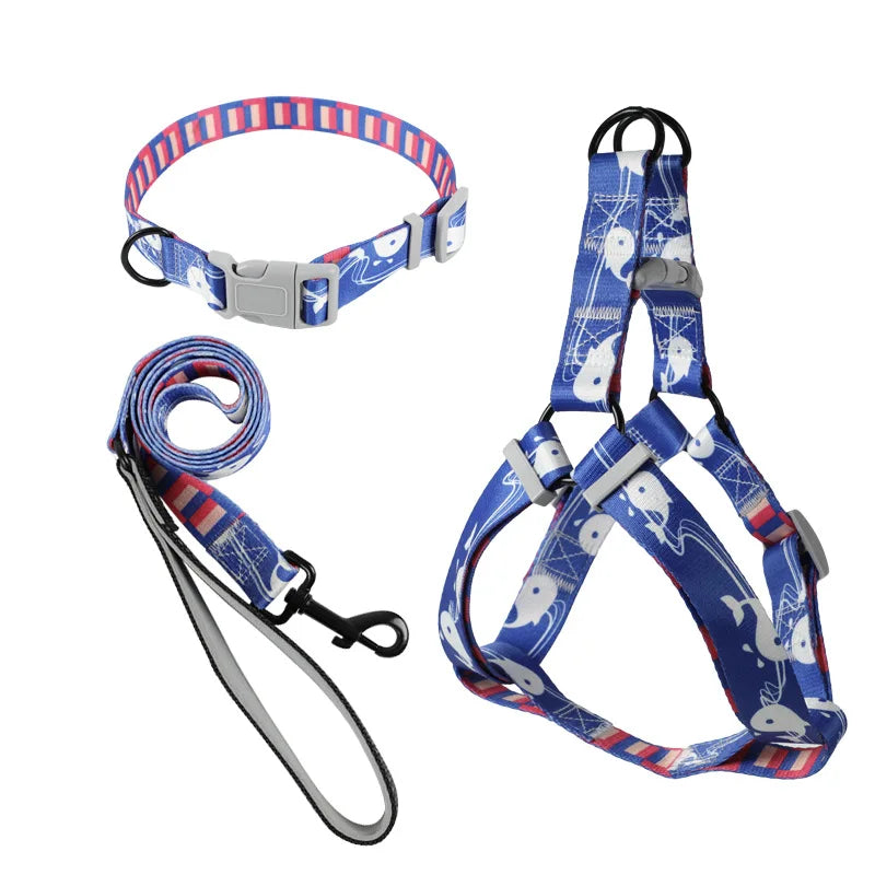 Ensemble Trois Pièces Abstrait pour Chien - Harnais, Laisse, Collier