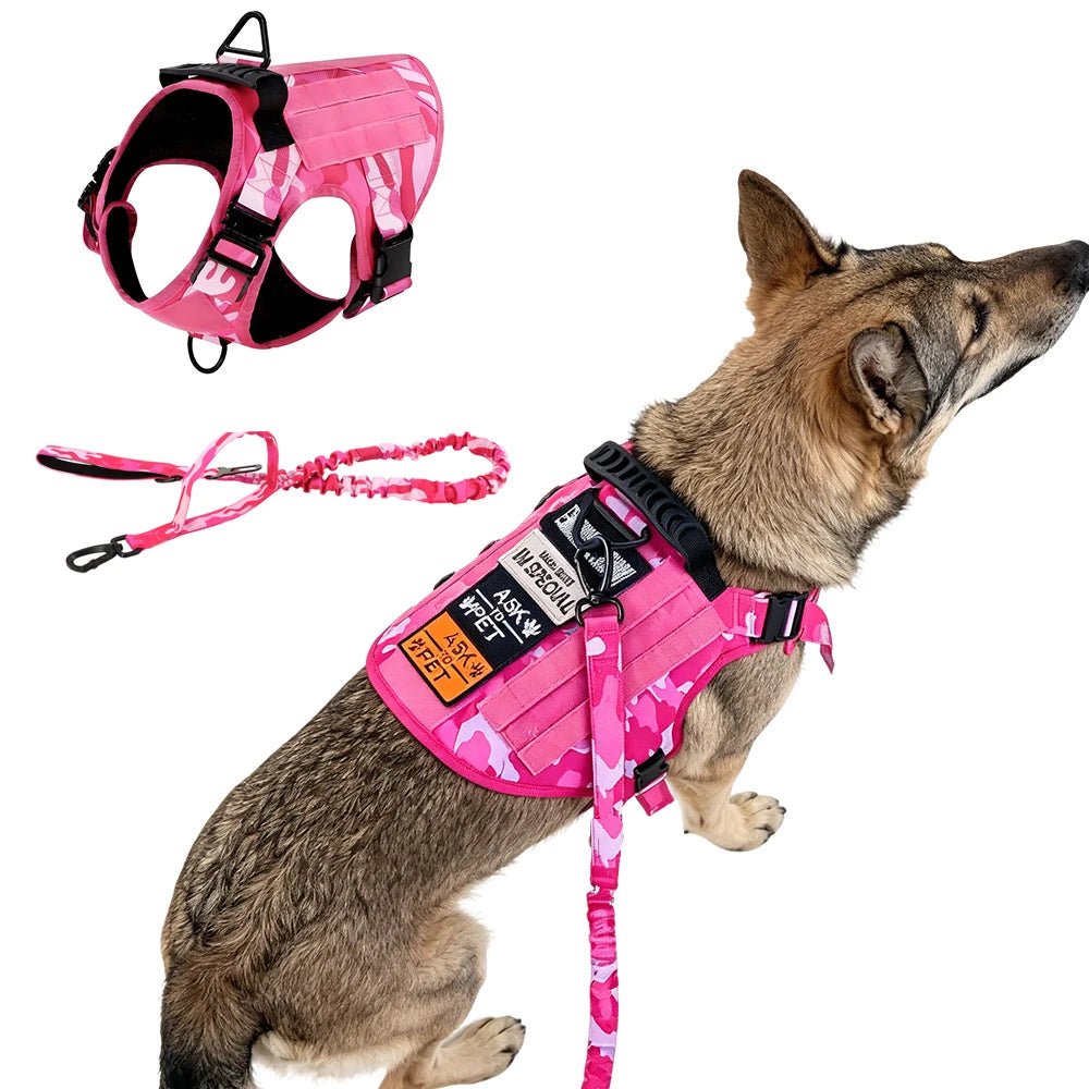 Ensemble Harnais et Laisse Tactique Militaire pour Chien - Anti-Traction