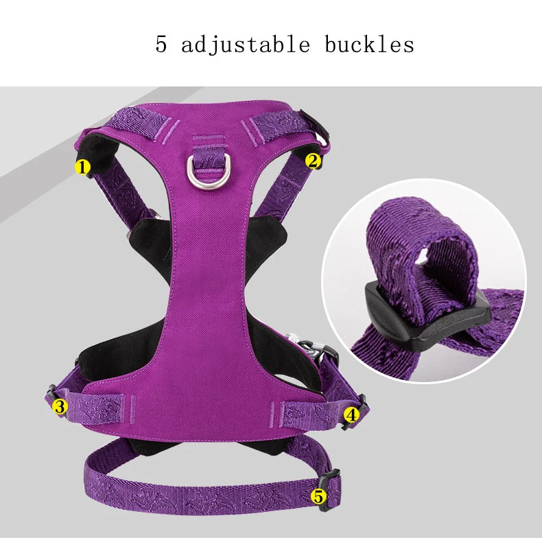Harnais Nylon Double-H pour Chien - Léger et Imperméable