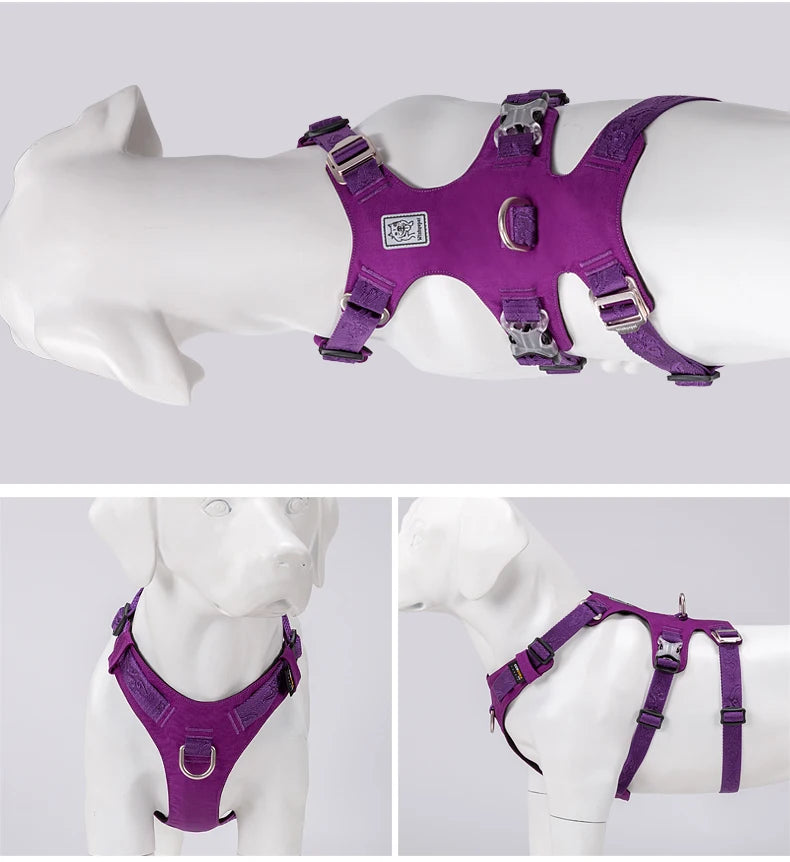 Harnais Nylon Double-H pour Chien - Léger et Imperméable