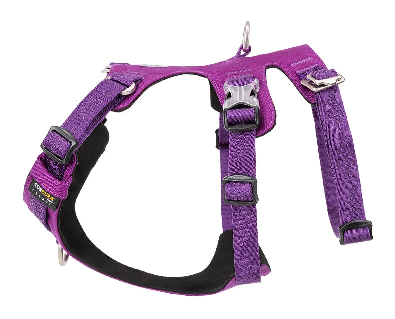 Harnais Nylon Double-H pour Chien - Léger et Imperméable