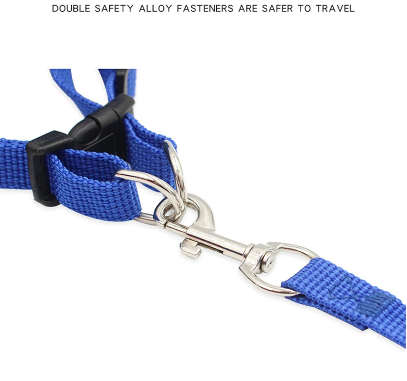 Ensemble Laisse et Harnais en Maille pour Petit Chien - Chiot, Carlin