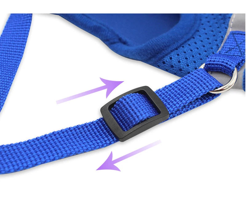 Ensemble Laisse et Harnais en Maille pour Petit Chien - Chiot, Carlin