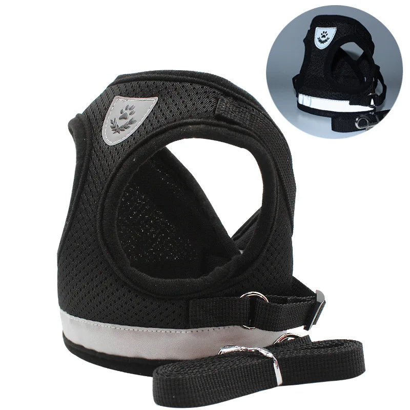 Ensemble Laisse et Harnais en Maille pour Petit Chien - Chiot, Carlin