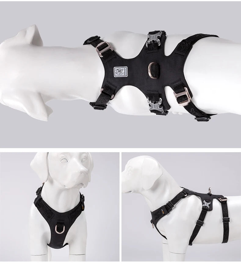 Harnais Nylon Double-H pour Chien - Léger et Imperméable