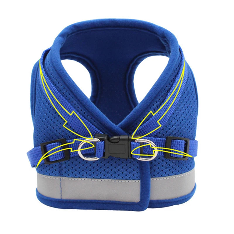 Ensemble Laisse et Harnais en Maille pour Petit Chien - Chiot, Carlin