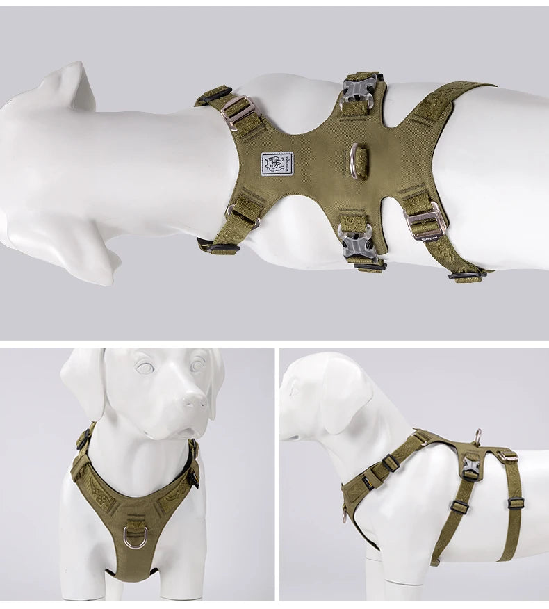 Harnais Nylon Double-H pour Chien - Léger et Imperméable