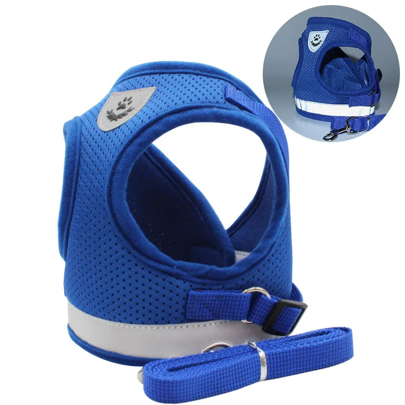 Ensemble Laisse et Harnais en Maille pour Petit Chien - Chiot, Carlin