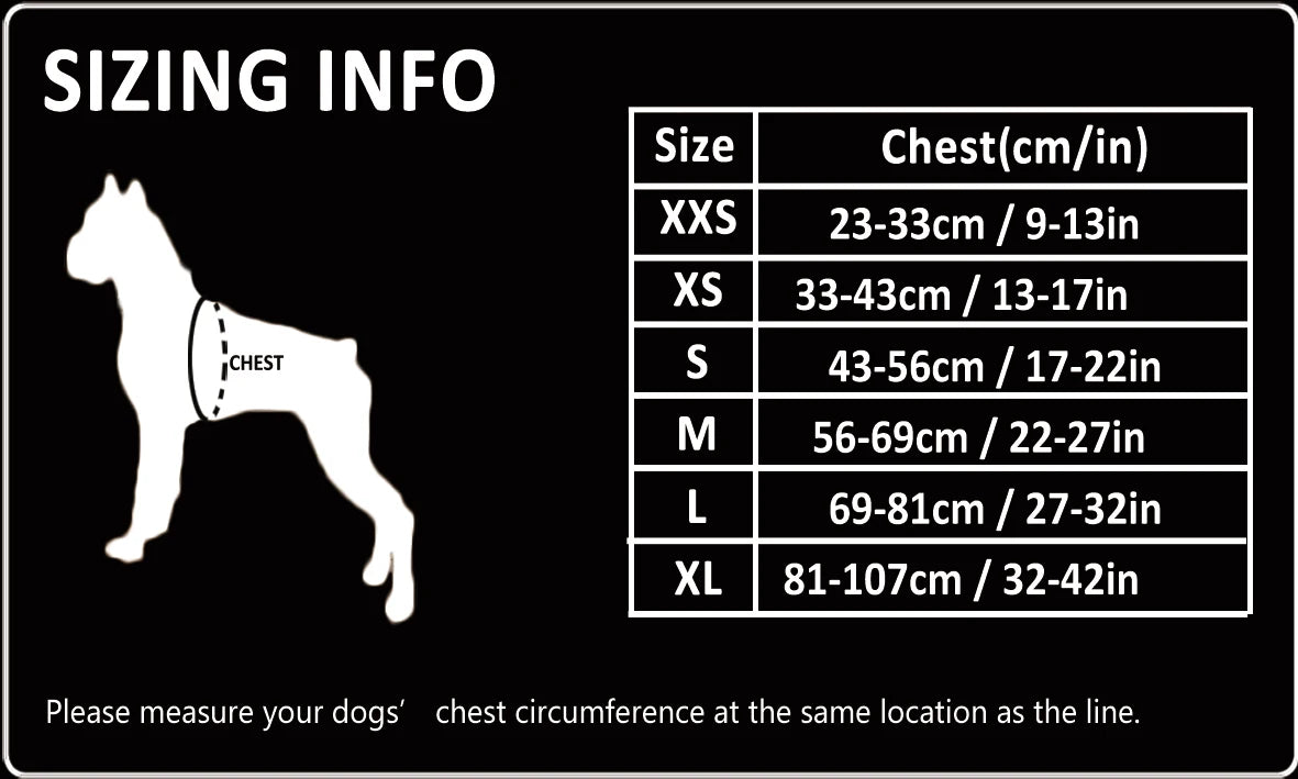 Harnais Nylon Double-H pour Chien - Léger et Imperméable