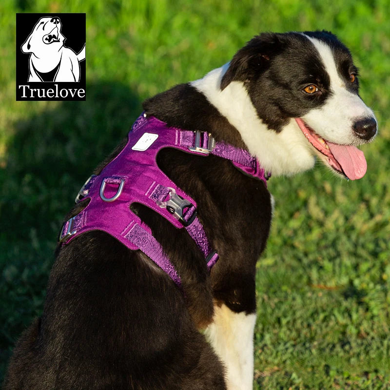 Harnais Nylon Double-H pour Chien - Léger et Imperméable