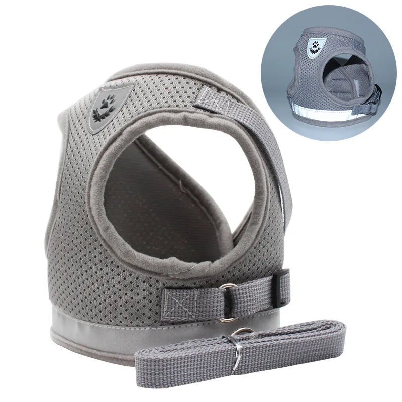 Ensemble Laisse et Harnais en Maille pour Petit Chien - Chiot, Carlin