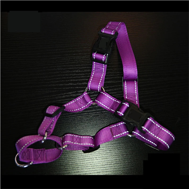 Harnais Easy Walk Sans Traction pour Chien - Clip Frontal