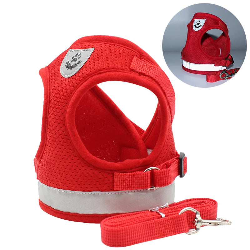 Ensemble Laisse et Harnais en Maille pour Petit Chien - Chiot, Carlin
