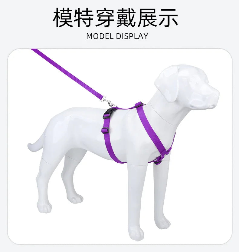 Harnais et Laisse Nylon Résistant pour Grand Chien