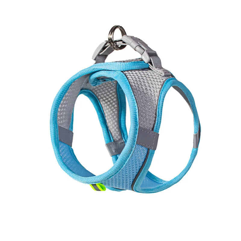 Ensemble Accessoires Réglables pour Chiots et Chats - Bouledogue, Chihuahua