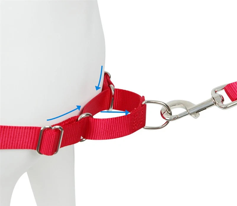 Harnais Anti-Rupture en Nylon Solide pour Chien Moyen/Grand - Husky
