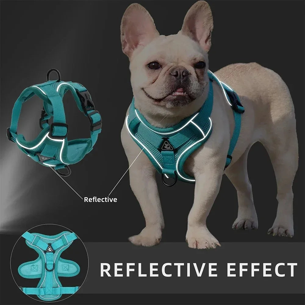 Ensemble Harnais et Laisse Anti-Traction pour Petit Chien et Chat - Réfléchissant