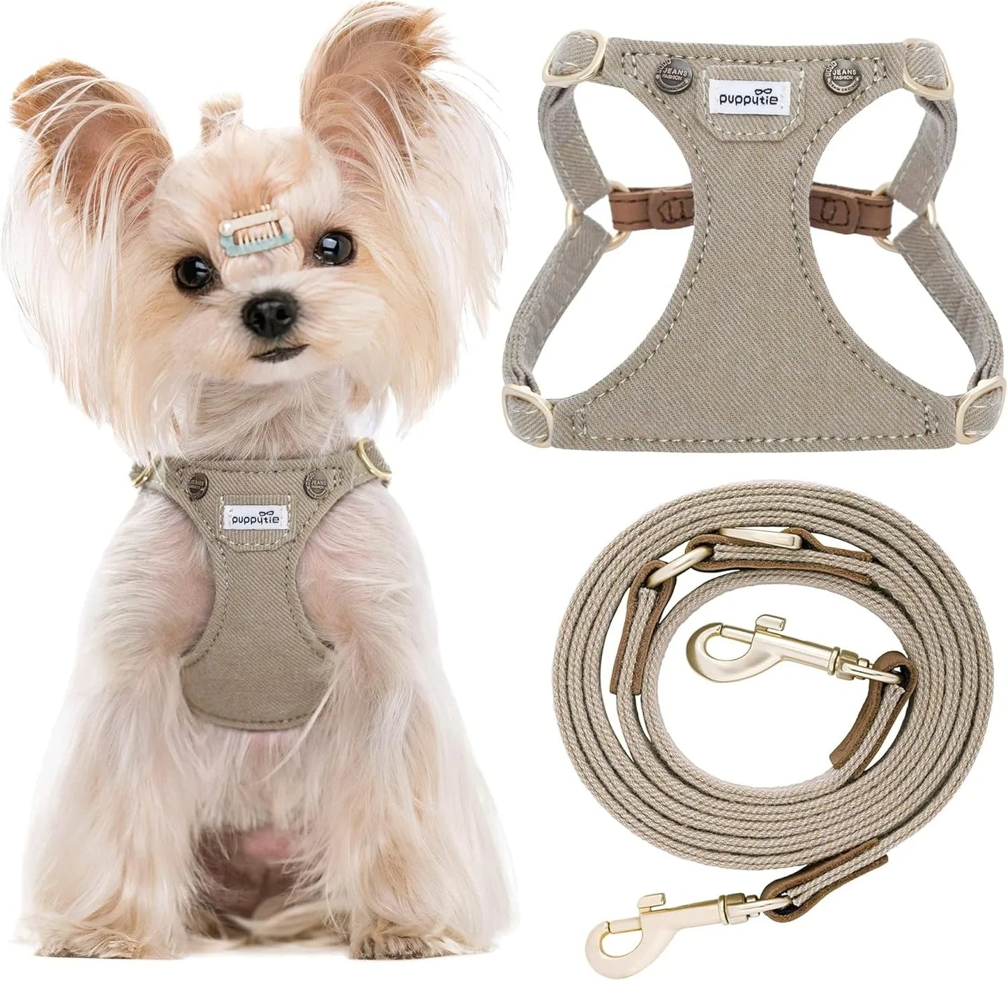 Ensemble Harnais et Laisse Doux Rembourré pour Chiot