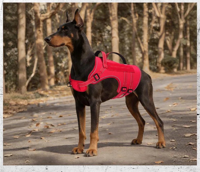 Harnais Tactique 3D Anti-Traction pour Chien Moyen/Grand - Réfléchissant