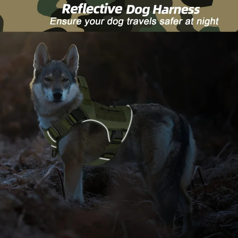 Harnais Tactique Robuste pour Chien - Recherche et Sauvetage