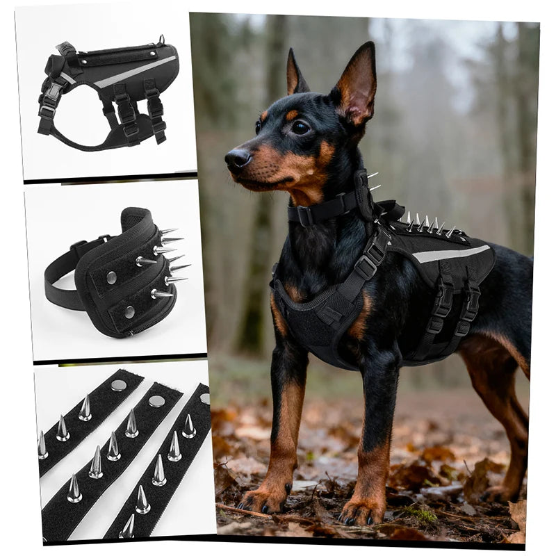 Harnais Tactique Robuste Réfléchissant pour Chien - Entraînement