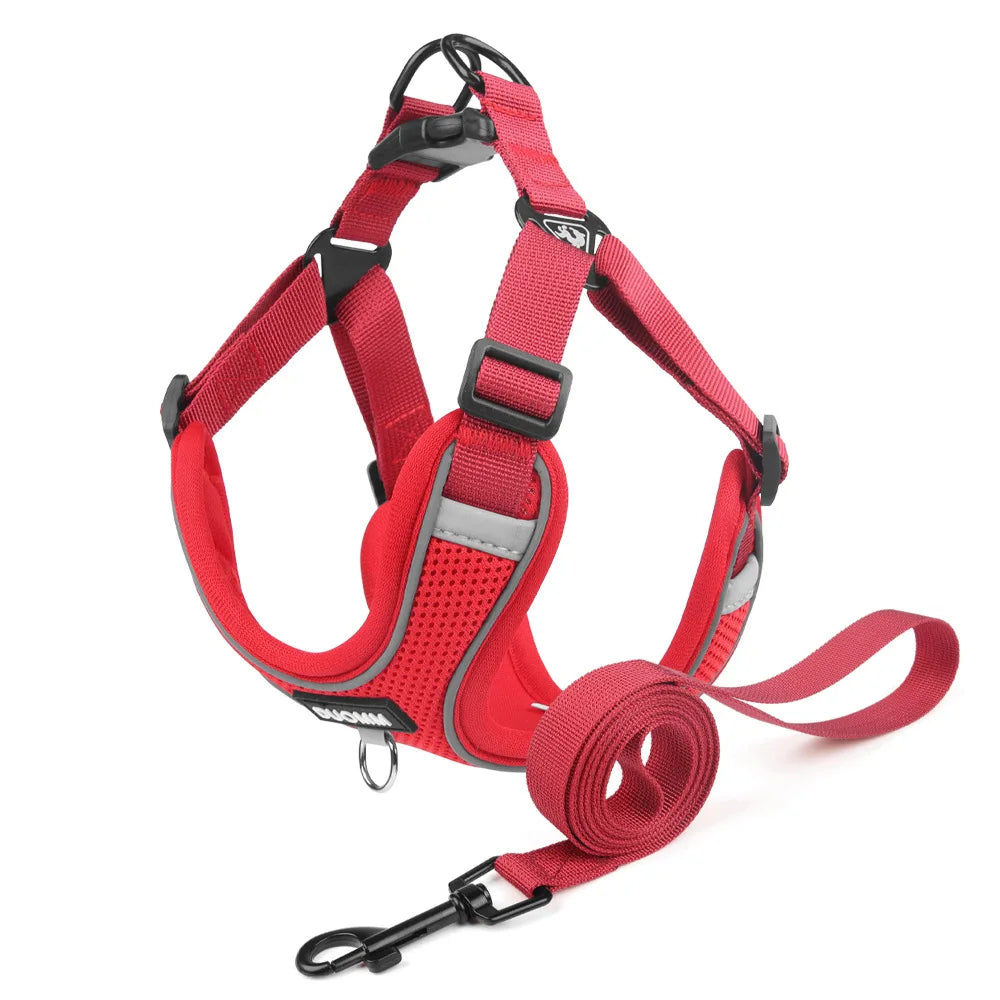 Ensemble Harnais et Laisse Classique et Doux pour Chien - Toutes Races