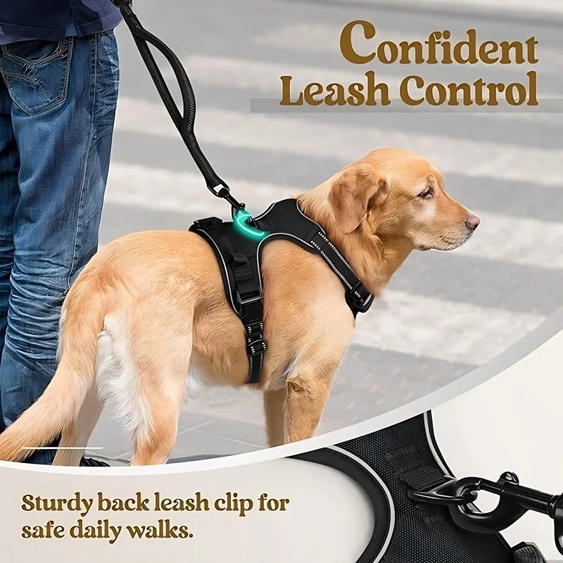Harnais et Laisse Corde Nylon pour Grand Chien