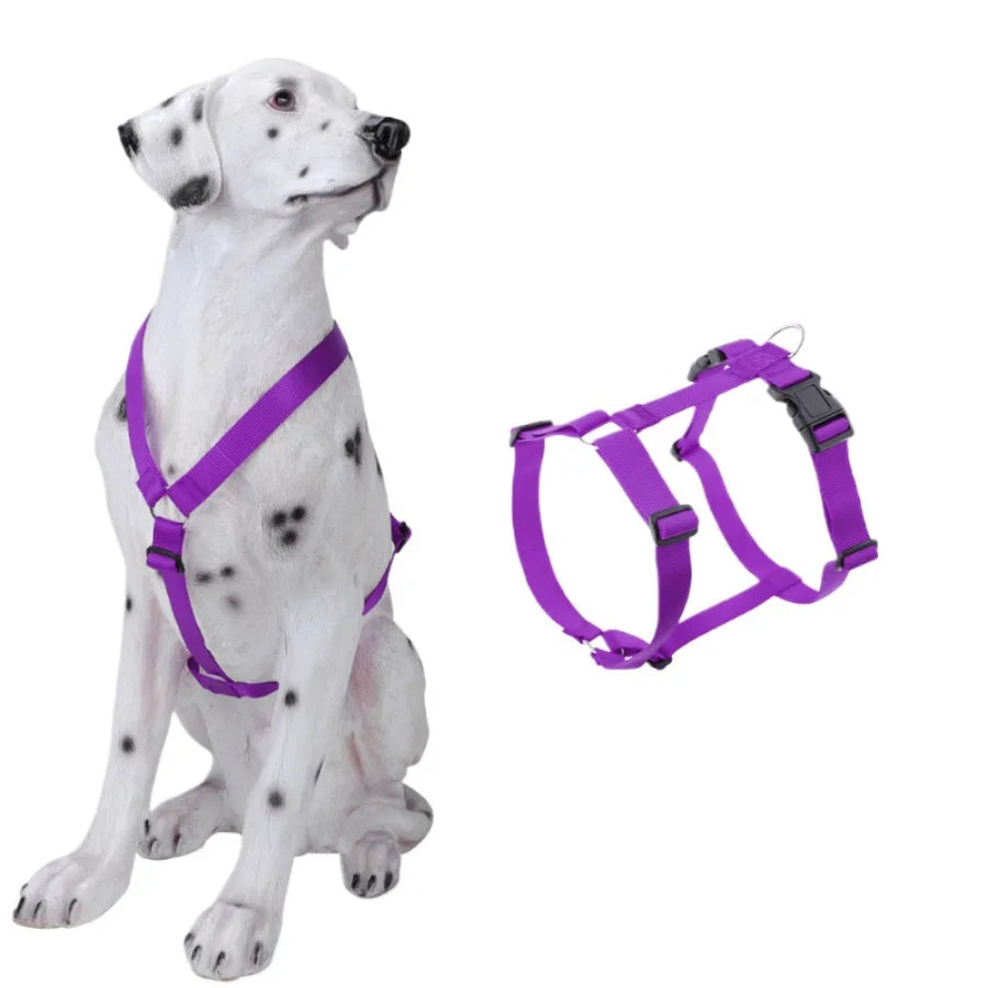 Harnais et Laisse Nylon Résistant pour Grand Chien