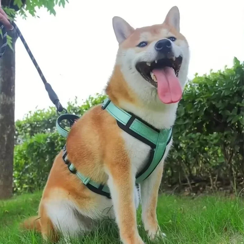 Harnais Anti-Évasion avec Poignée pour Bouledogue Français - Réfléchissant