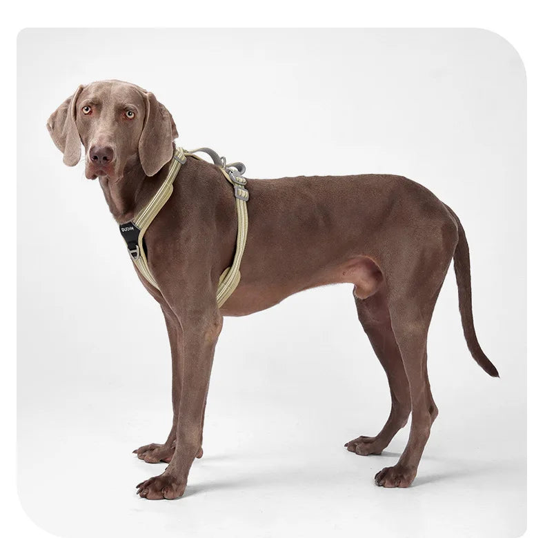 Harnais à Double Poignée pour Chien - Dégagement Rapide