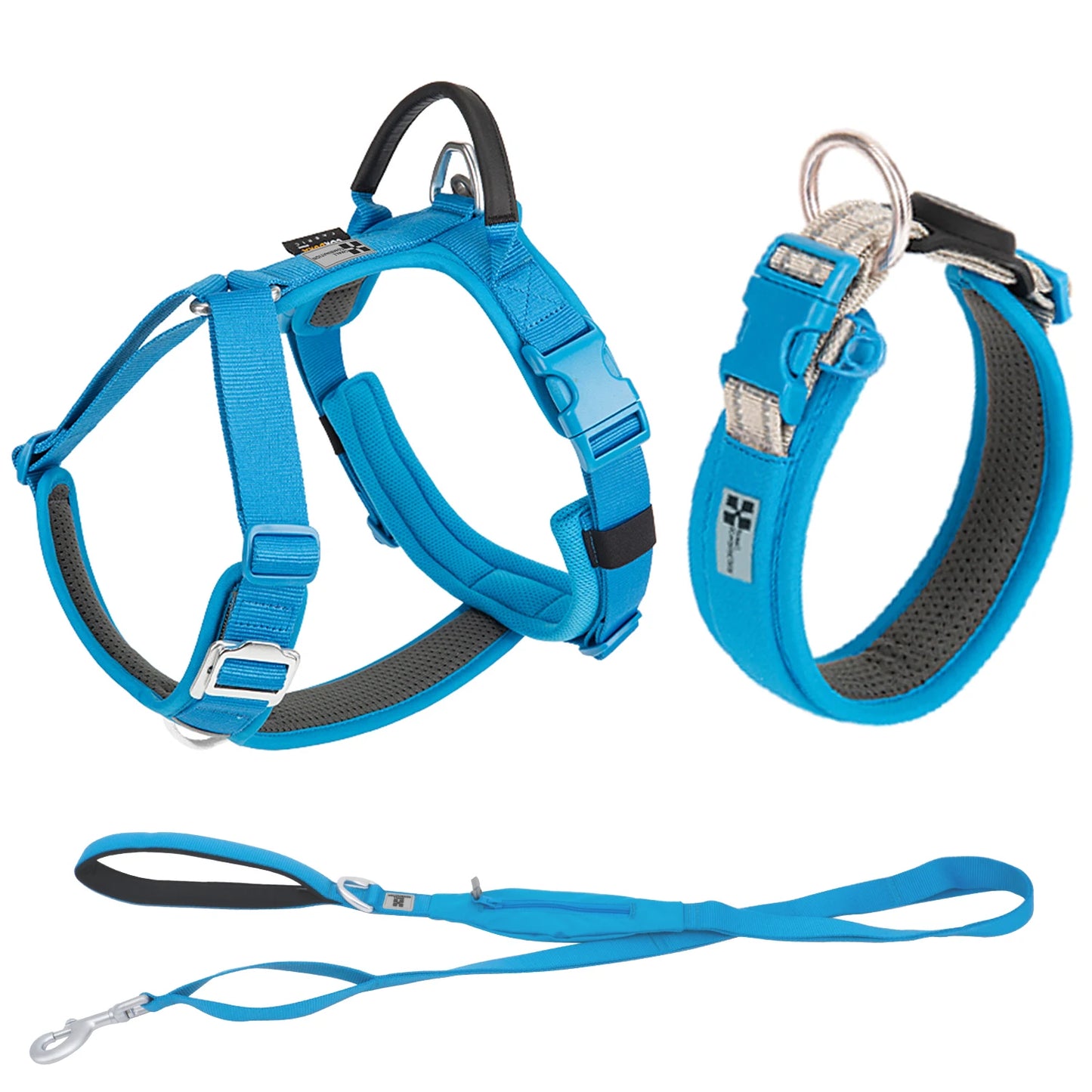 Ensemble Harnais et Laisse Anti-Traction pour Grand Chien