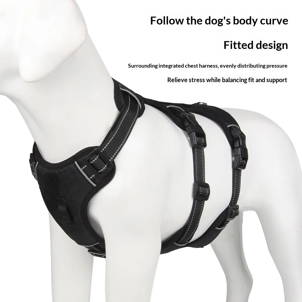 Harnais Anti-Évasion Grand Chien - Laisse Oxford Incluse
