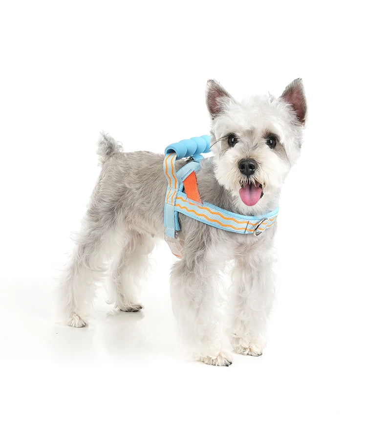 Harnais à Enfiler Rembourré pour Petit Chien - Poignée Douce
