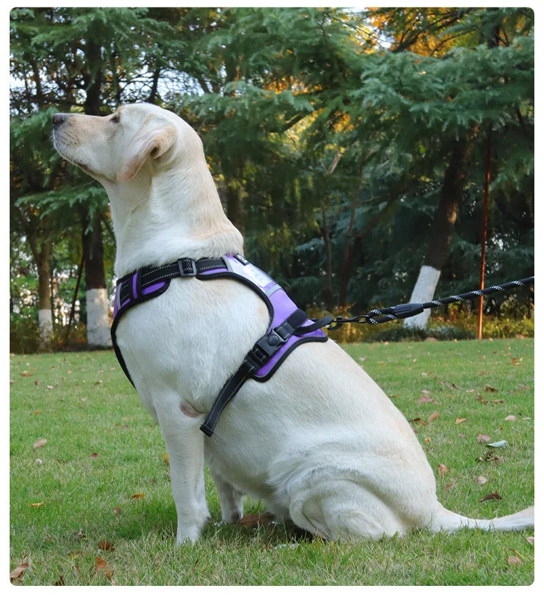 Harnais Type Veste pour Chien - Toutes Races, Résistant aux Chocs