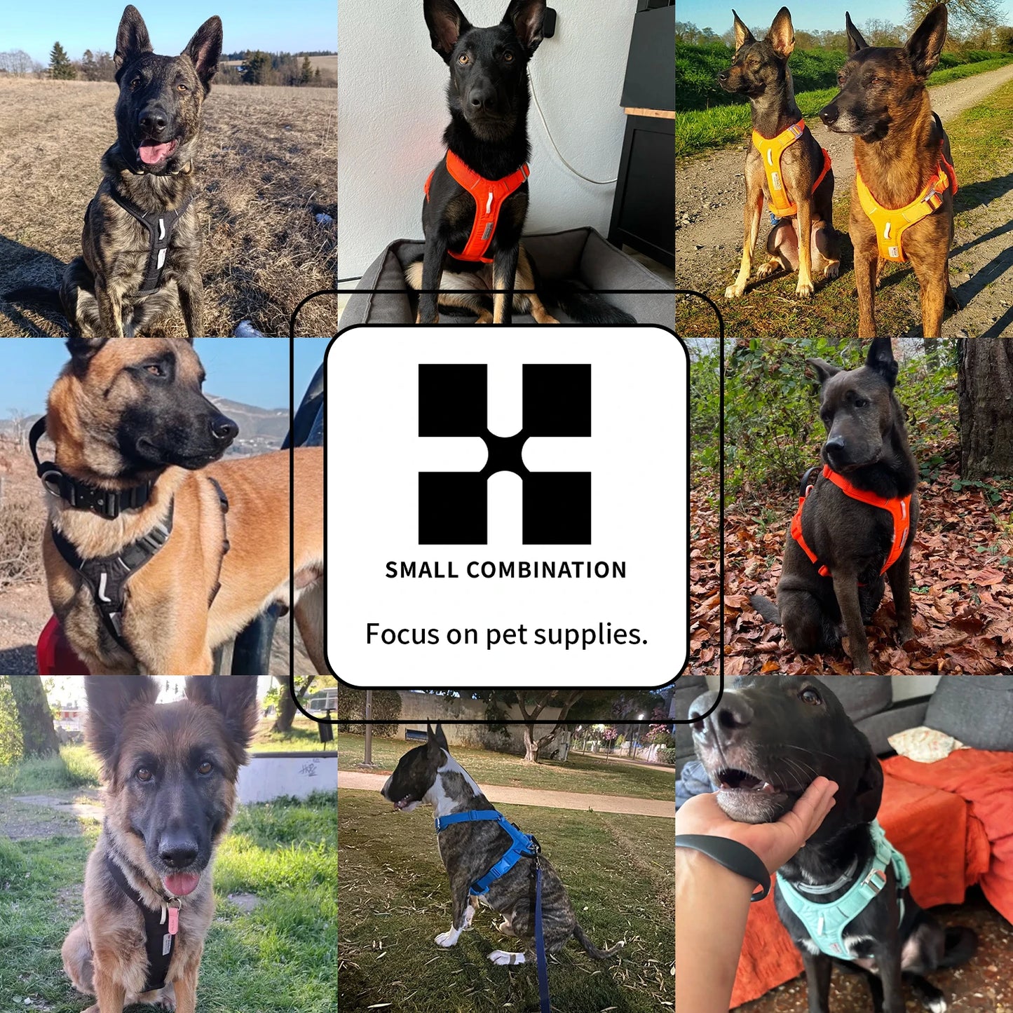 Ensemble Harnais et Laisse Anti-Traction pour Grand Chien