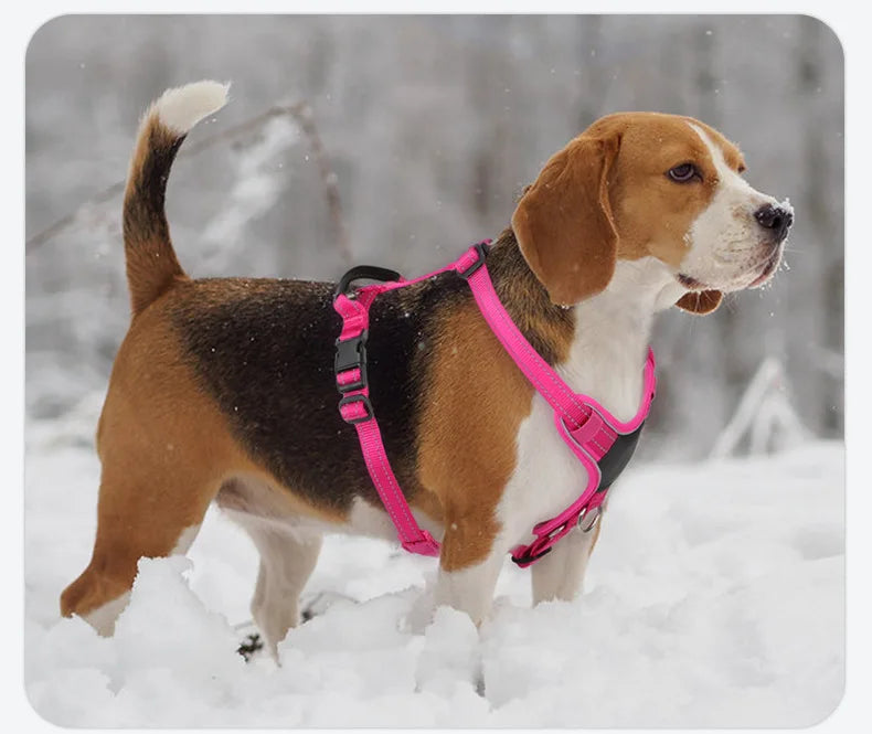 Harnais Forme I Anti-Évasion pour Chien - Enfilage Rapide