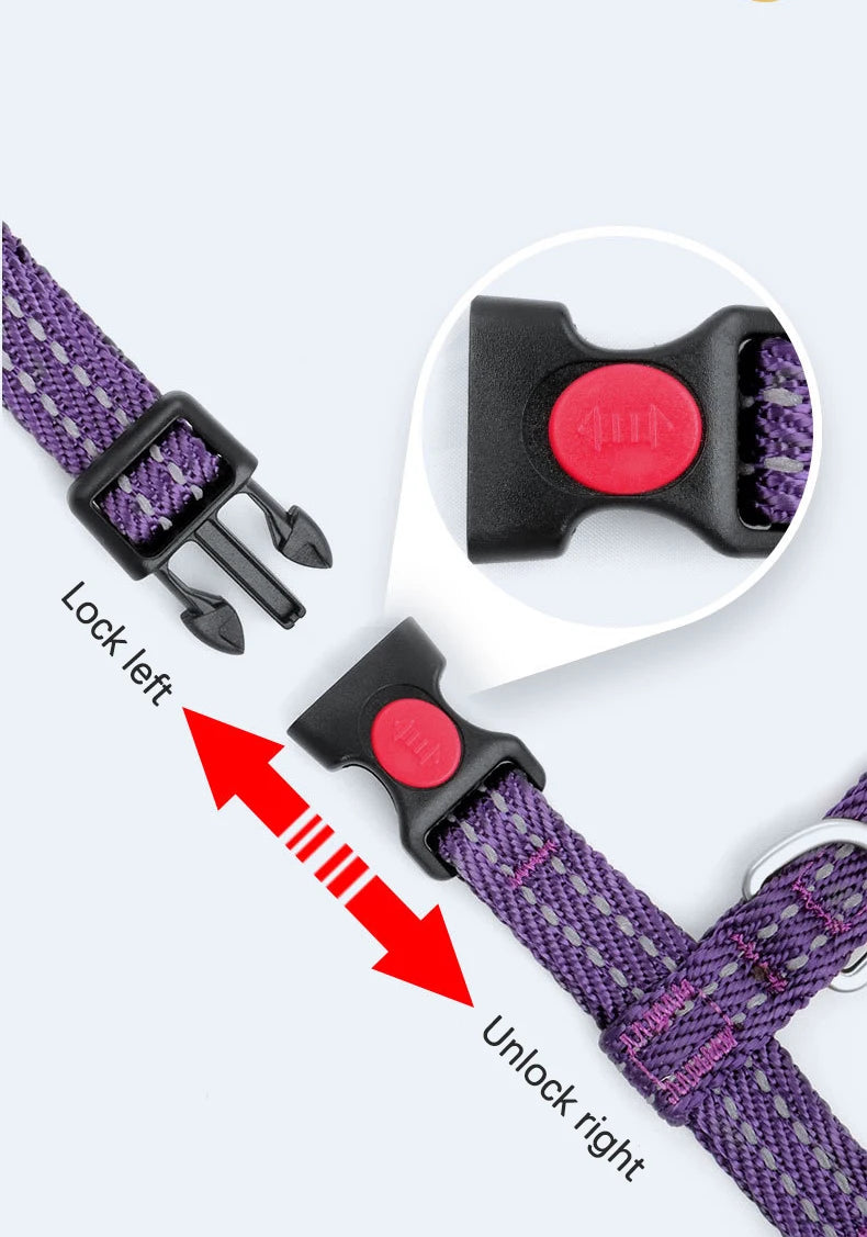Harnais Anti-Évasion Type H pour Chien - Lavable, Réglable