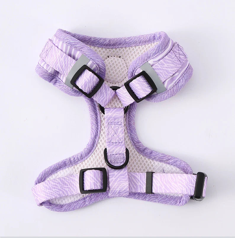Harnais à Motifs pour Chiot - Doux et Respirant, avec Laisse