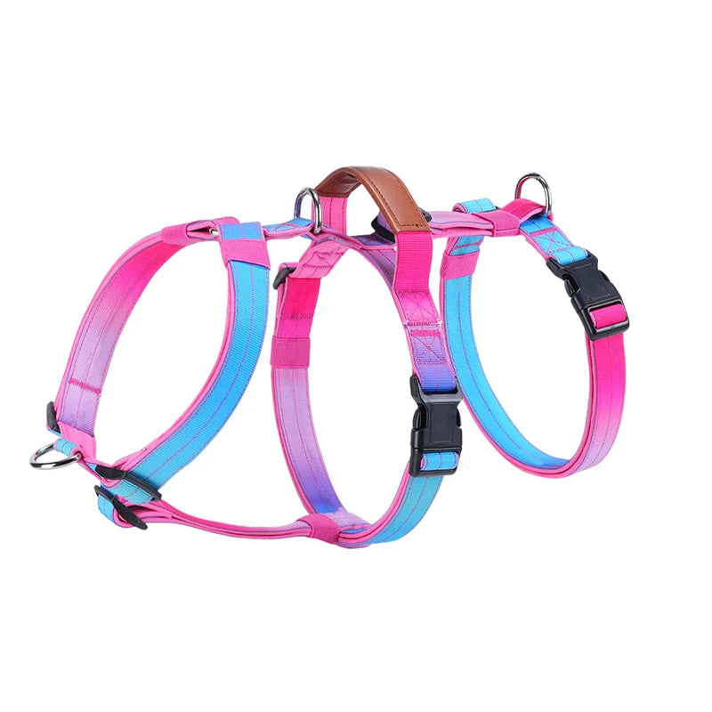 Harnais Anti-Traction Nylon pour Grand Chien - Entraînement