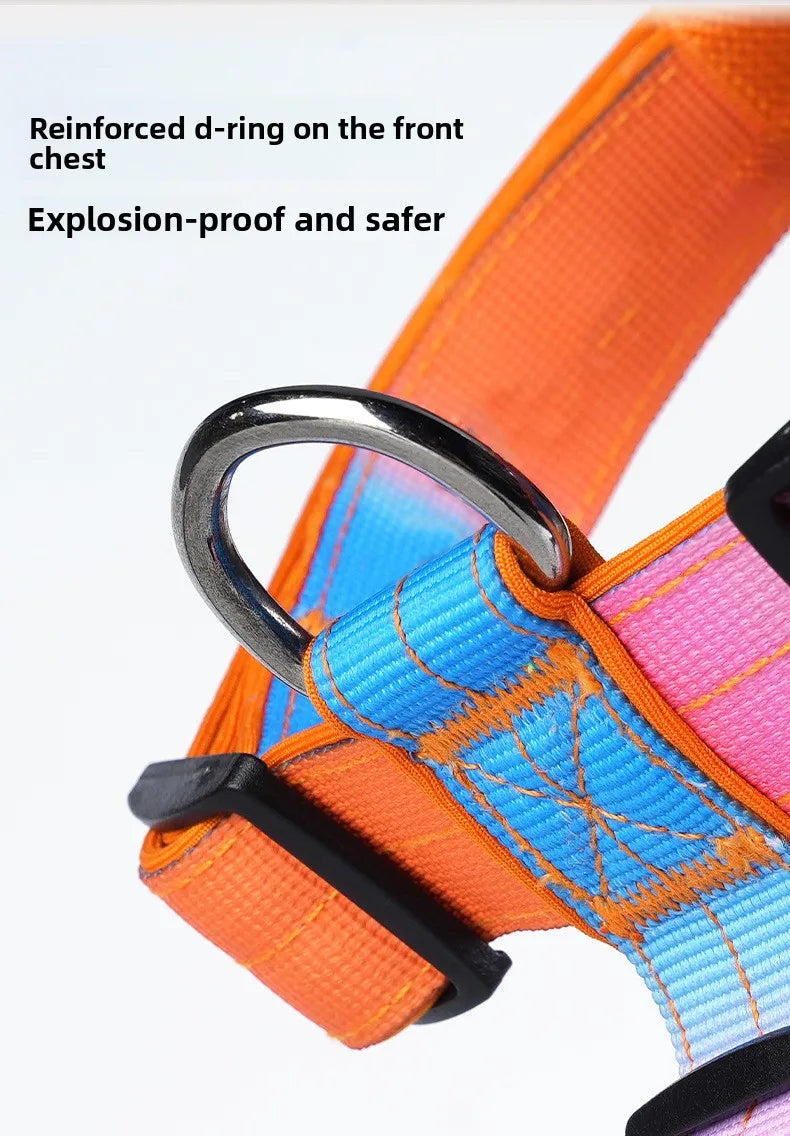 Harnais Brodé Sur Mesure en Nylon Dégradé - Anti-Traction