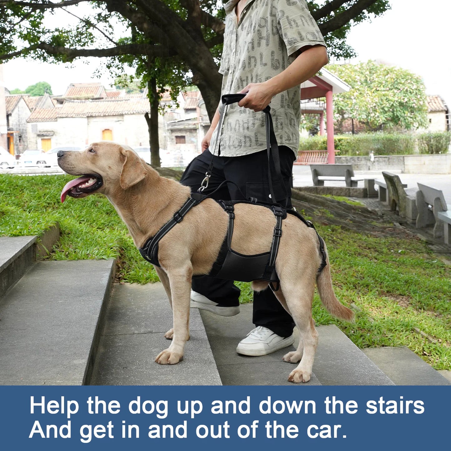 Harnais de Soutien Dorsal Réglable pour Chien - Post-Chirurgical