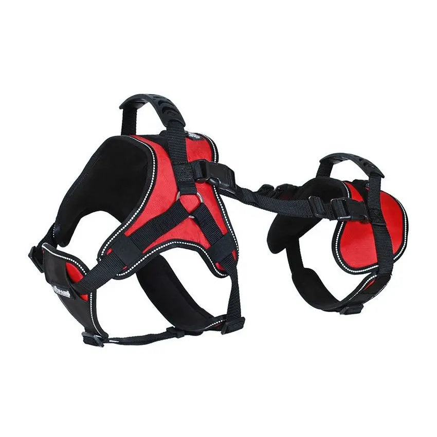 Harnais de Levage avec Sangles pour Pattes Arrière - Marche et Voyage